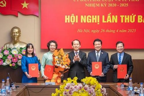 Chỉ định nhân sự Ủy ban Kiểm tra Đảng ủy Ủy ban Pháp luật và Tư pháp