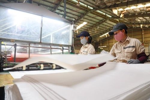 Năng lực nhà thầu trúng gói mua nguyên liệu phục vụ sản xuất cho Dầu khí Bình Sơn