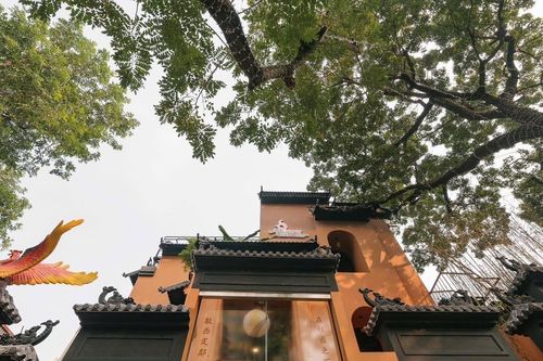 Trải nghiệm ẩm thực Bắc Bộ trong không gian tinh tế giữa lòng Hà Nội