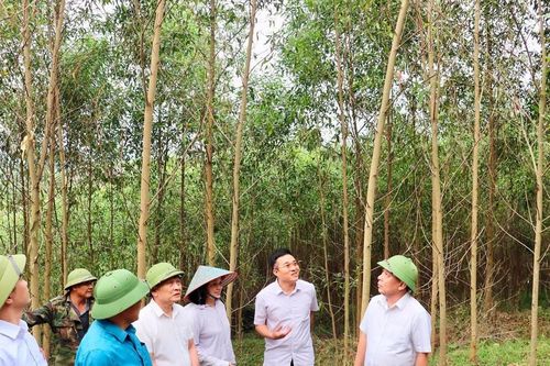 Phó Chủ tịch UBND tỉnh kiểm tra sản xuất tại Tân Kỳ và Diễn Châu