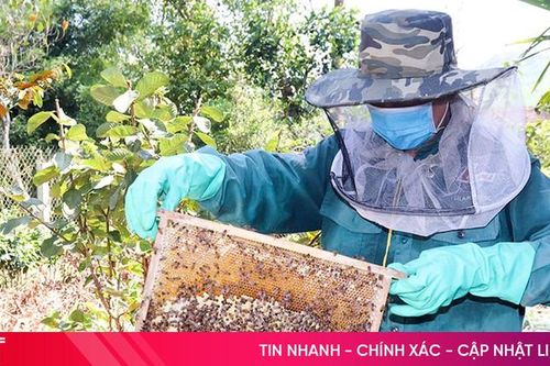 Đổi đời nhờ nghề nuôi ong ở Đức Lạng