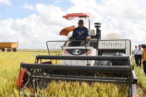 Thủ tướng Cuba: Việt Nam hỗ trợ Cuba từng bước đảm bảo an ninh lương thực