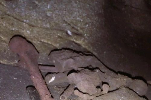 Nghệ An: Cận cảnh các bộ hài cốt nằm rải rác trong hang đá Lèn Chùa