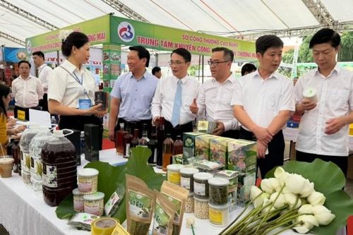 Quảng Bình kết nối, lan tỏa giá trị sản phẩm đặc trưng