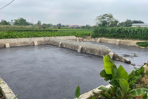 Thiệu Hóa: Dừng hoạt động trang trại chăn nuôi lợn do vi phạm quy định về bảo vệ môi trường