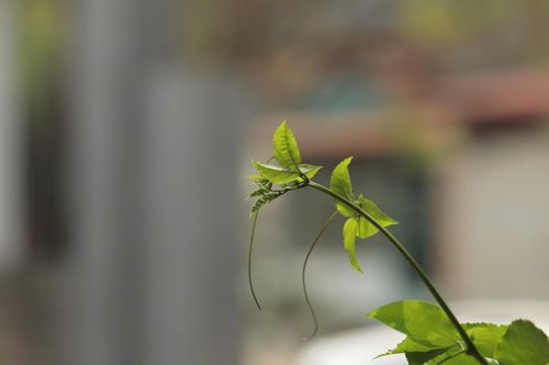 Bản tin Dự báo thời tiết ngày 27/4/2025
