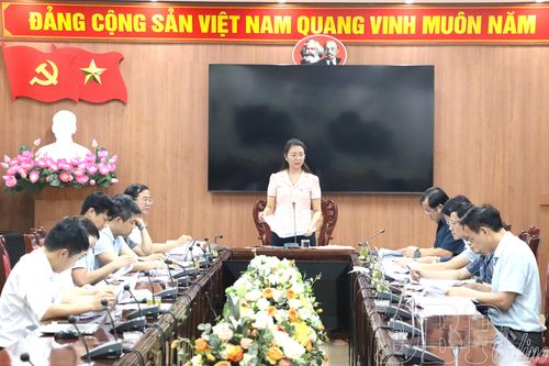 Ban Kinh tế - Ngân sách thẩm tra dự thảo nghị quyết
