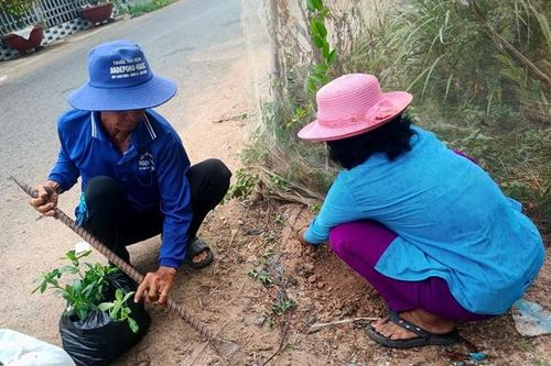 Ra mắt và nhân rộng 2 mô hình góp phần bảo vệ môi trường