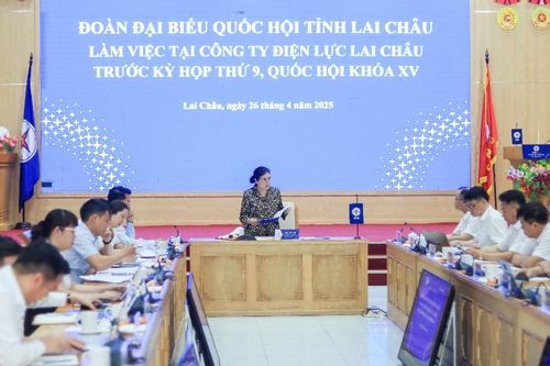 Đoàn Đại biểu Quốc hội tỉnh làm việc với Công ty Điện lực Lai Châu