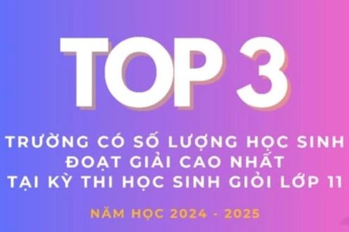 974 học sinh đoạt giải trong kỳ thi chọn học sinh giỏi lớp 11 cấp tỉnh