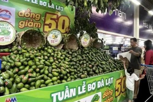 Tuần lễ quảng bá bơ Lâm Đồng tại TP Hồ Chí Minh