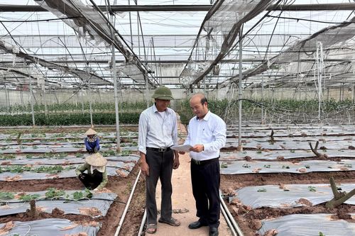 Tiếp sức cho nông nghiệp, nông thôn phát triển
