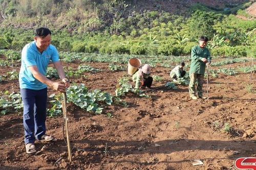Nhịp sống mới trên bản Mông