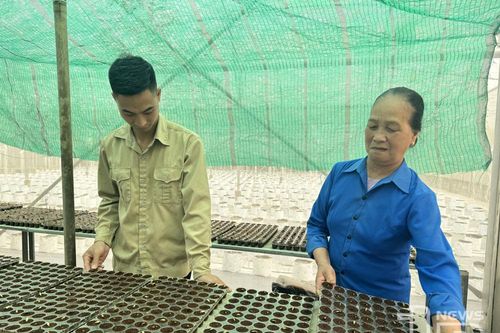 Khi người trẻ rời làng: Nông thôn Thái Nguyên đang cần điều gì? - (Kỳ 3) Làm sao để người trẻ ở lại?
