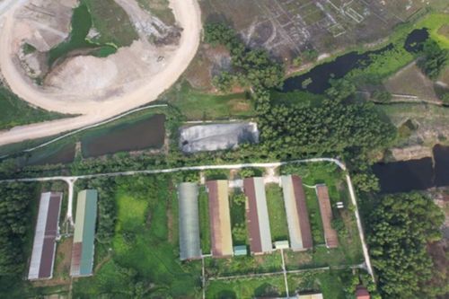 Hà Tĩnh: Tại sao các cơ sở chăn nuôi đang hoạt động khó được cấp giấy phép môi trường?