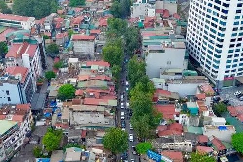 Hà Nội lên phương án di dời 357 cây xanh
