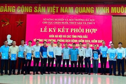 Hà Nội: Tăng cường phối hợp trong kiểm soát nguồn gốc, phòng chống dịch bệnh gia súc, gia cầm