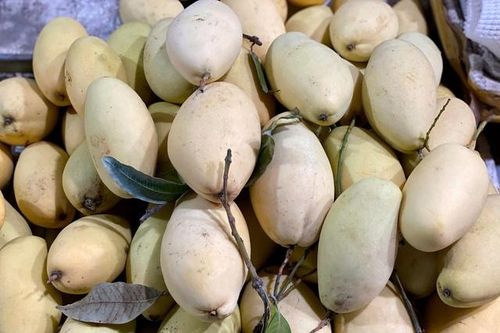 Xoài vào mùa giảm giá sâu, bán tràn ngập thị trường chỉ hơn chục nghìn đồng/kg