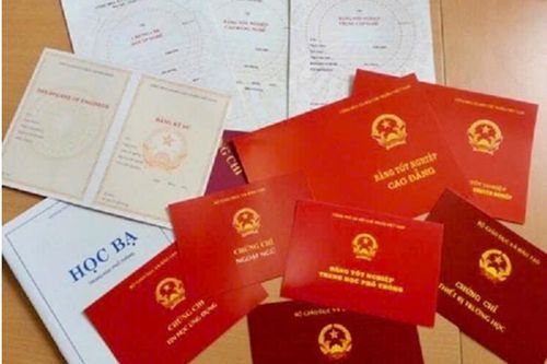 Hai giáo viên bị điều tra vì mua, sử dụng bằng giả