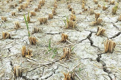 Mối đe dọa lạm phát lớn hơn thuế quan