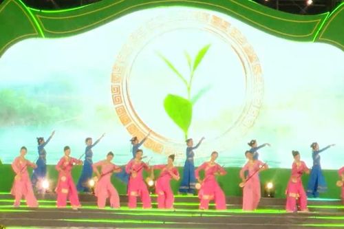 Trải nghiệm xứ Trà, đậm đà bản sắc