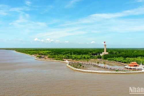 Mũi Cà Mau nơi 'đất biết nở, rừng biết đi và biển sinh sôi'