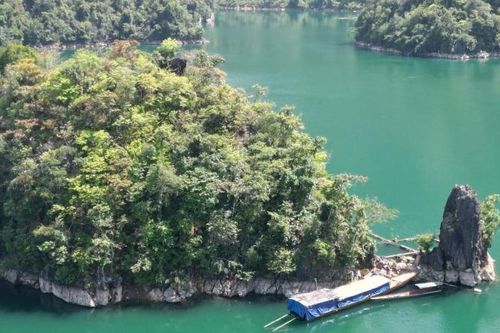 Ngăn chặn tình trạng quay vòng hồ sơ trúng thầu lâm sản
