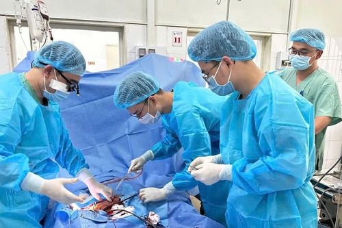 Bệnh viện Trung ương Huế cứu sống bệnh nhi sốc tim nguy kịch