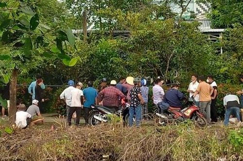 Đi lấy mật ong, phát hiện thi thể bị cháy sém