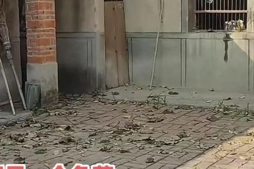 Trở về nhà sau 4 năm ông mất, cháu gái rơi nước mắt vì cảnh trước sân