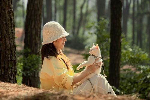 3 địa điểm cắm trại ở ngoại thành Hà Nội dịp 30/4, vừa gần vừa vui