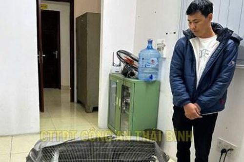 Bắt đối tượng buôn bán, vận chuyển động vật quý, hiếm