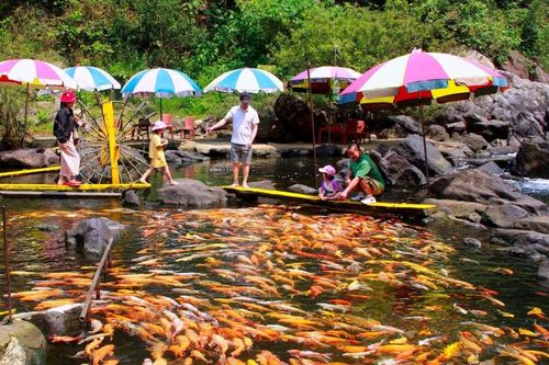 Khám phá những 'tọa độ sống ảo' ở miền Tây Nghệ An