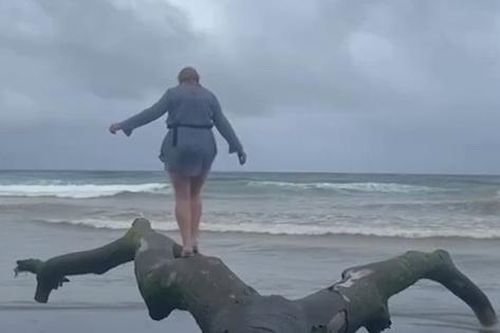 Chó 'lấy trộm' điện thoại của du khách khi đang quay video