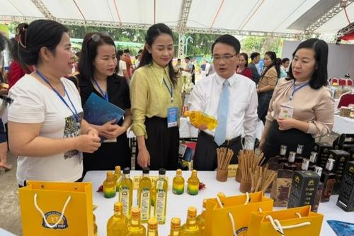 Quảng Bình xây dựng sản phẩm đặc trưng, nâng tầm giá trị địa phương