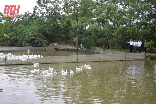 Phát triển sản xuất nông nghiệp bền vững, hiệu quả