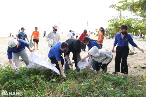 600 người tham gia nhặt rác, làm sạch các bãi biển