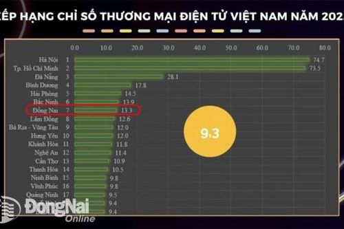Đồng Nai có chỉ số thương mại điện tử xếp thứ 7 cả nước