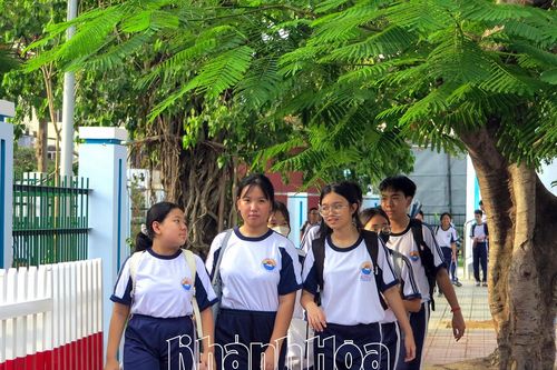 Triển khai chương trình khuyến học xanh