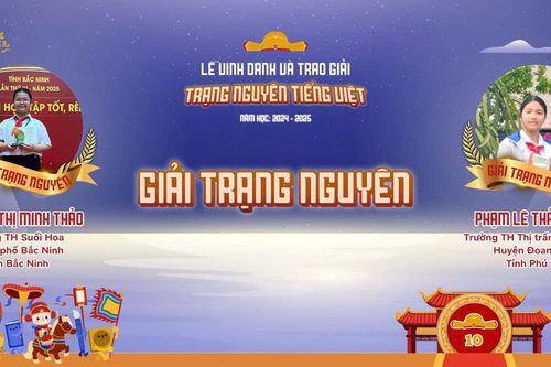 Phú Thọ: 36/36 thí sinh đoạt giải tại sân chơi Trạng Nguyên Tiếng Việt trên Internet