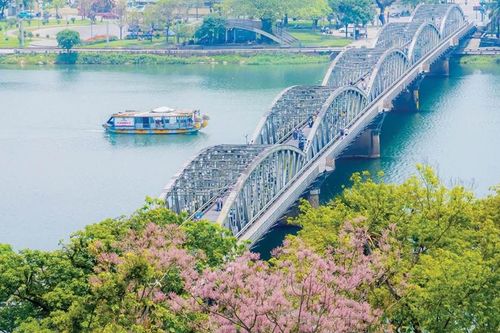 Ngô đồng nhẹ bay trong thinh không