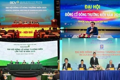 Mùa đại hội cổ đông: Doanh nghiệp lớn lên kế hoạch ứng phó với thuế quan Mỹ