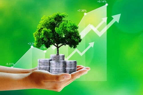 Tăng trưởng xanh tại Việt Nam: Hướng đi chiến lược cho tương lai