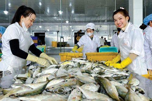 Tạo bứt phá trong phát triển kinh tế biển