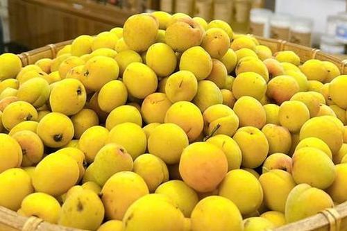 Loại quả vừa thơm vừa bổ vào mùa bán đầy chợ với giá rẻ bèo
