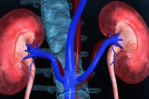 Câu hỏi thường gặp liên quan đến hội chứng urê huyết tán huyết