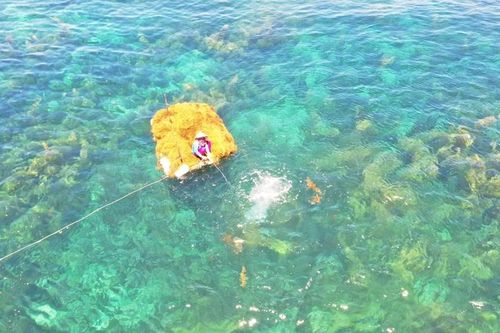 Phát triển sinh kế gắn với bảo vệ rong mơ ở vùng biển Quảng Ngãi