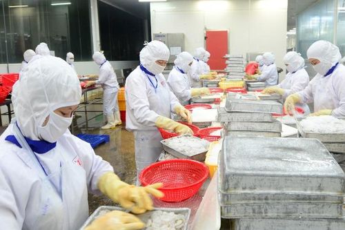 Đưa nông sản Việt Nam vào hệ thống bán lẻ quốc tế