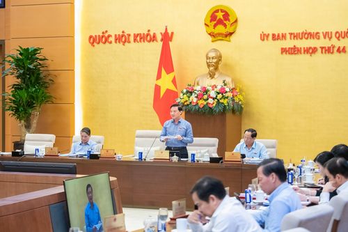 Đẩy mạnh phân cấp, phân quyền trong xử phạt vi phạm hành chính
