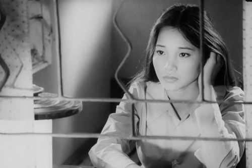 Công chiếu 'Nửa thế kỷ phim Việt Nam về chiến tranh' tại Liên hoan phim châu Á-Đà Nẵng